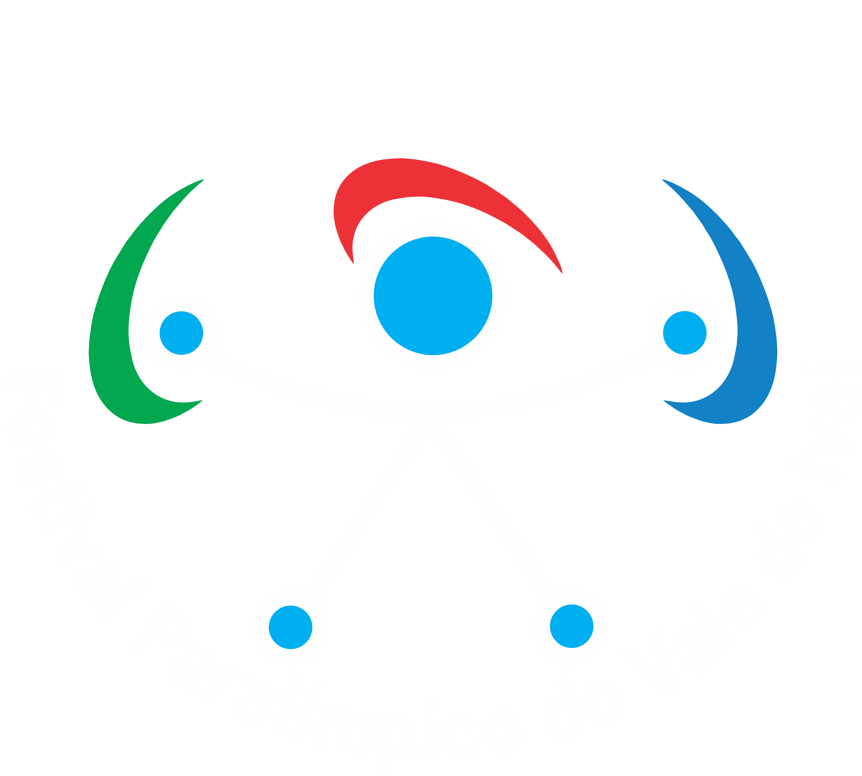 paralimpico branco sem numero com texto 2